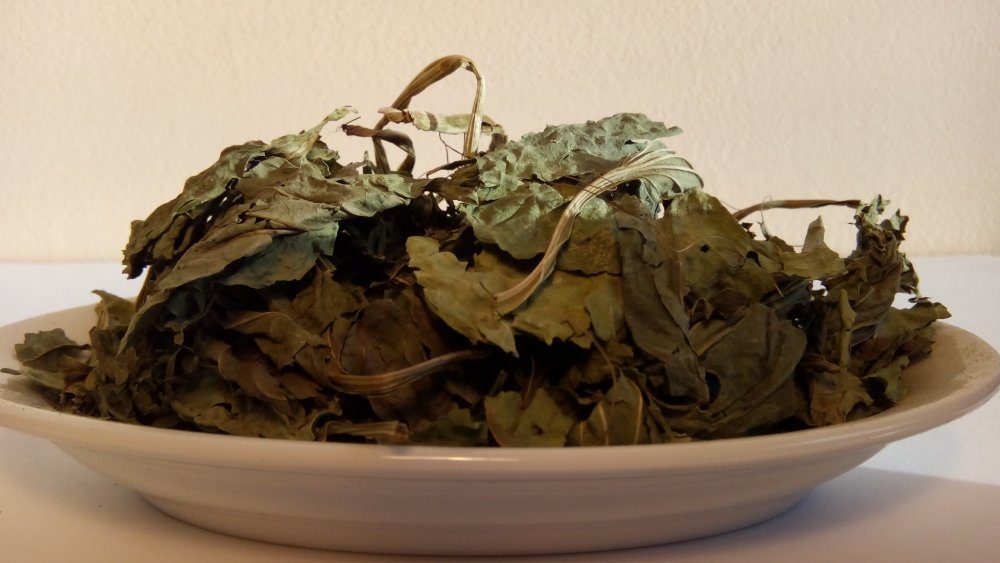 Nông dân hái ra tiền từ “thần dược” mọc dại ven đường